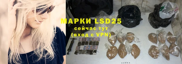 прущие грибы Алзамай