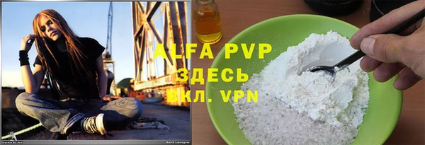 прущие грибы Алзамай