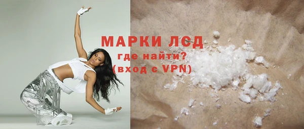 прущие грибы Алзамай