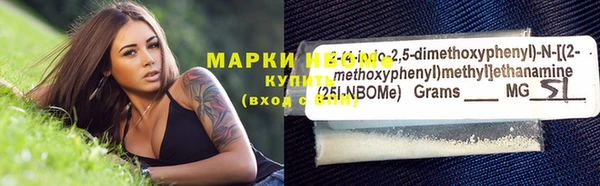 прущие грибы Алзамай