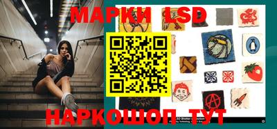 крисы Гатчина