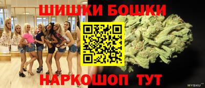 крисы Гатчина