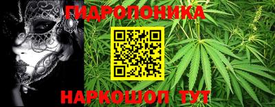 амфетамин Гай