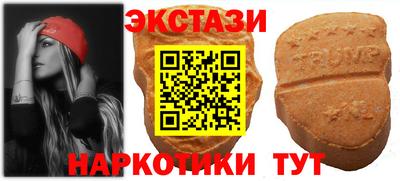 крисы Гатчина
