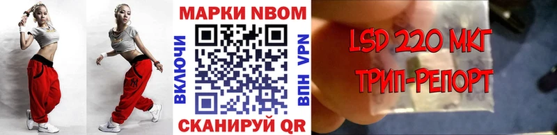 как найти закладки МЕГА как войти Марки N-bome 1,5мг Ставрополь