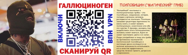 Псилоцибиновые грибы Cubensis  гидра вход  Ставрополь 