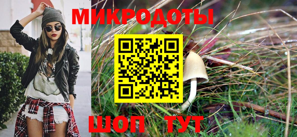 Галлюциногенные грибы мухоморы Ставрополь