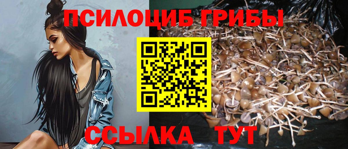 Псилоцибиновые грибы Psilocybine cubensis  Вход с VPN  Псилоцибиновые грибы Magic Shrooms  Ставрополь 